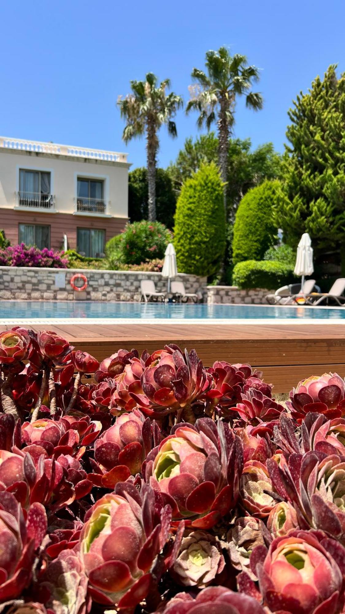 Antmare Hotel Alacati Exterior photo